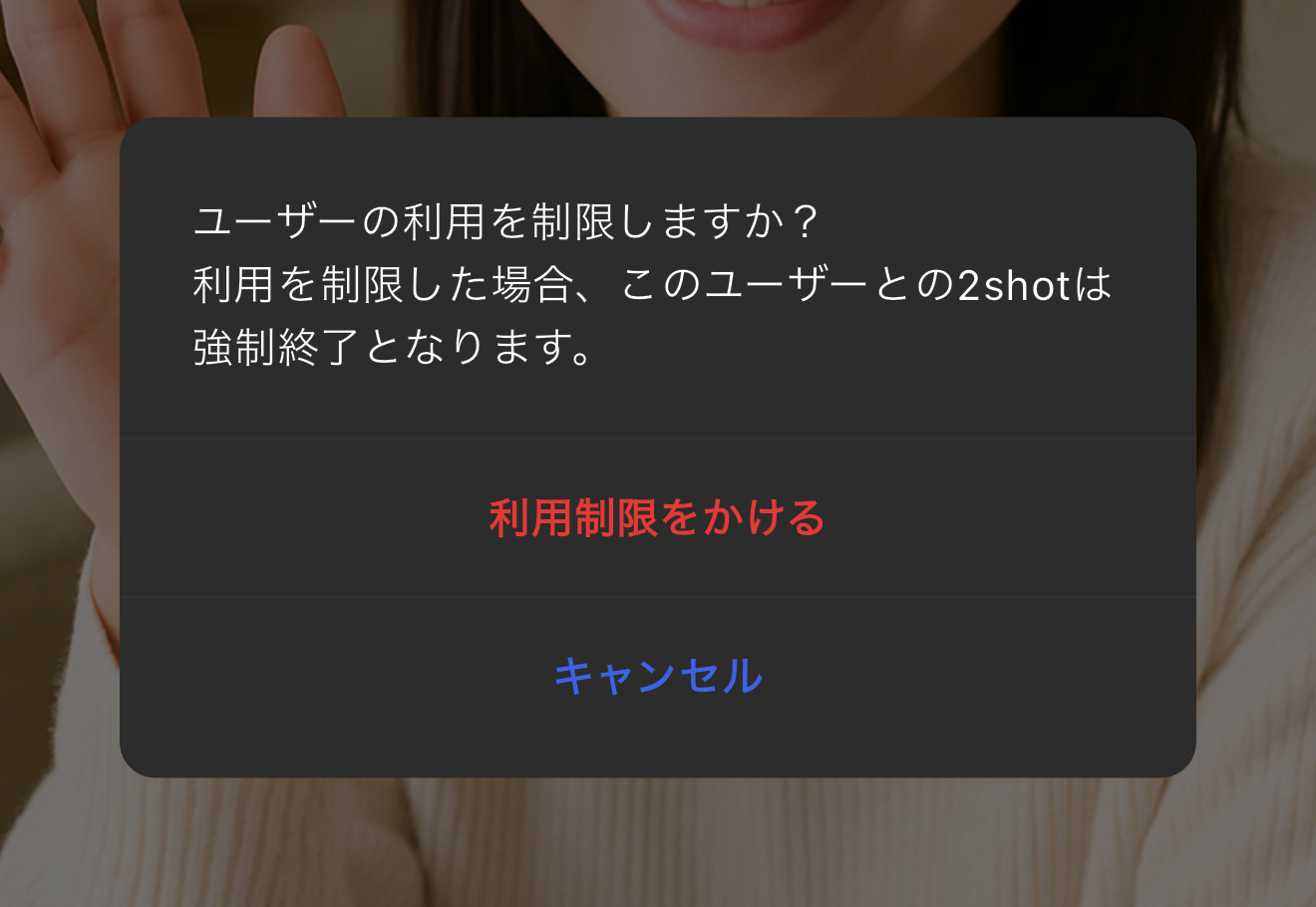 退出確認ダイアログ