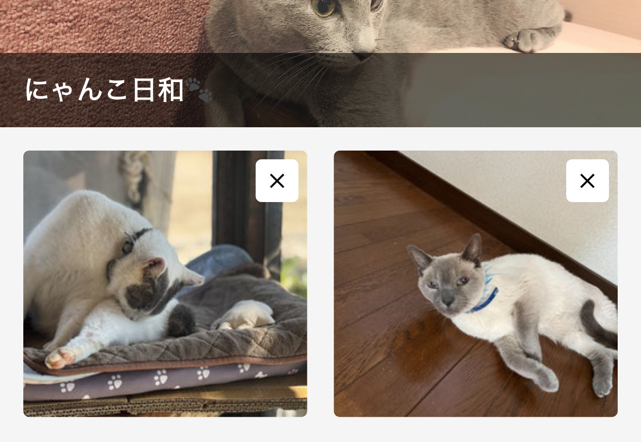 メディアの削除ボタン